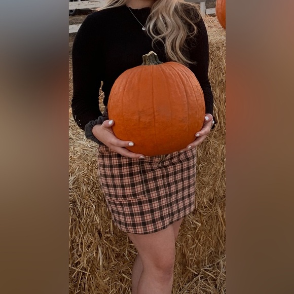 Wild Fable Checkered Skirt in Brown and Cream - Picture 1 of 3